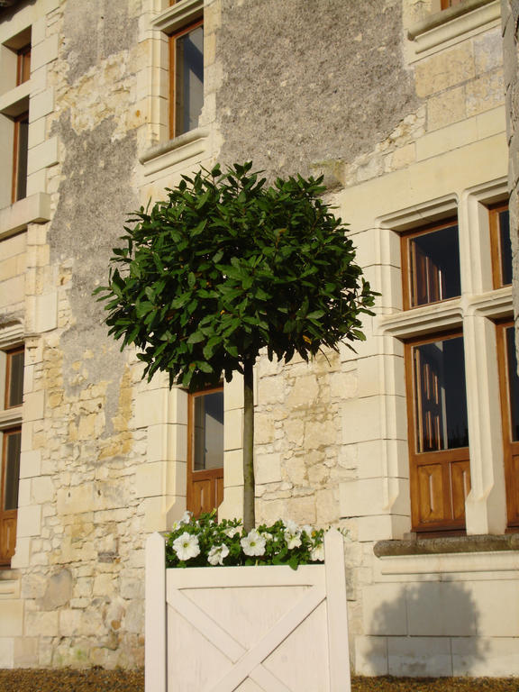 Bed and Breakfast Manoir Du Bois Noblet Louerre Экстерьер фото